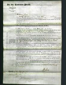 Court of Common Pleas - Rachael Williams-Original Ancestry