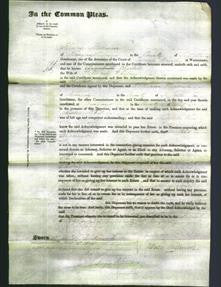 Court of Common Pleas - Charlotte Whiting-Original Ancestry