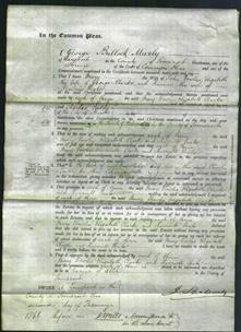 Court of Common Pleas - Mary Vowles, Elizabeth Clarke and Harriett Vealeland-Original Ancestry