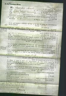 Court of Common Pleas - Ruth Dibson-Original Ancestry