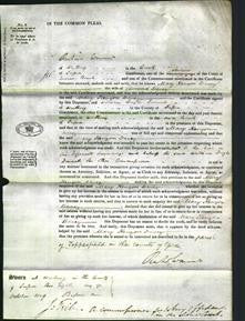 Court of Common Pleas - Mary Kenyon Davey-Original Ancestry