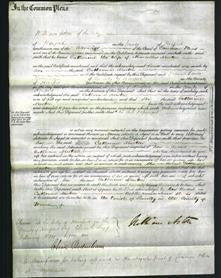 Court of Common Pleas - Catherine Newton-Original Ancestry