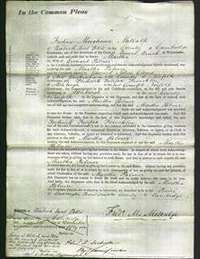 Court of Common Pleas - Martha Palmer-Original Ancestry