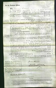 Court of Common Pleas - Melleter Bedwell Rowland-Original Ancestry