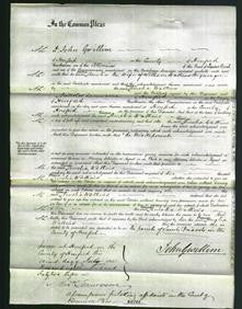 Court of Common Pleas - Emma Amelia Watkins-Original Ancestry