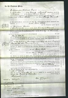 Court of Common Pleas - Anne Blake Hancock-Original Ancestry