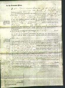 Court of Common Pleas - Maria Davies, Anne Jane Kerfoot and Hannah Williams-Original Ancestry