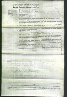 Court of Common Pleas - Emily Gurney-Original Ancestry