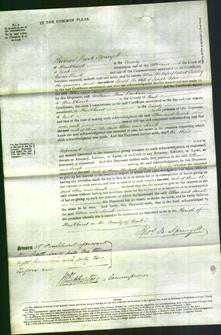 Court of Common Pleas - Ellen Turley-Original Ancestry