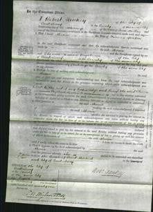Court of Common Pleas - Maria Godden-Original Ancestry