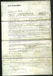 Court of Common Pleas - Lydia Joseph-Original Ancestry