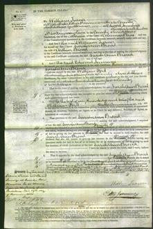 Court of Common Pleas - Sarah Ann Broad-Original Ancestry