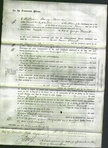 Court of Common Pleas - Emma Harnett-Original Ancestry