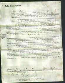 Court of Common Pleas - Frances Davies-Original Ancestry