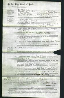 Court of Common Pleas - Maria Louisa O'Carroll-Original Ancestry