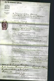 Court of Common Pleas - Maria Hammond-Original Ancestry