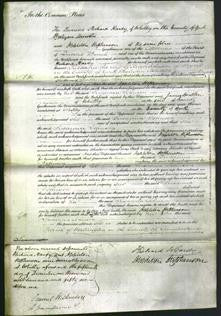 Court of Common Pleas - Susanna Johnson-Original Ancestry