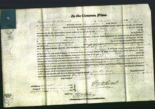 Court of Common Pleas - Martha Bates-Original Ancestry