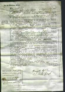 Court of Common Pleas - Elizabeth Turley, Susannah Harrison and Elizabeth Millard-Original Ancestry