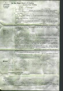 Court of Common Pleas - Maria Dalby-Original Ancestry