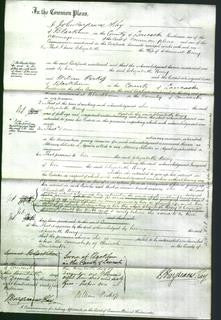 Court of Common Pleas - Elizabeth Bury-Original Ancestry