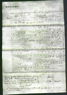 Court of Common Pleas - Elizabeth Baker-Original Ancestry