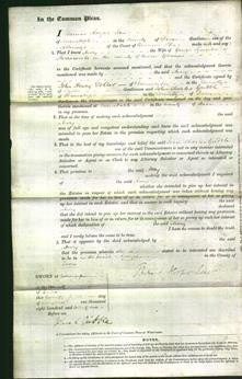 Court of Common Pleas - Mary Symonds-Original Ancestry