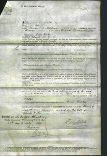 Court of Common Pleas - Maria Rowden-Original Ancestry
