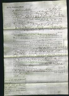 Court of Common Pleas - Ann Barker and Mary Phillips-Original Ancestry