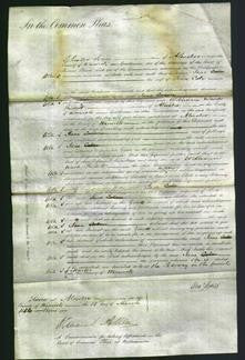 Court of Common Pleas - Jane Cale-Original Ancestry