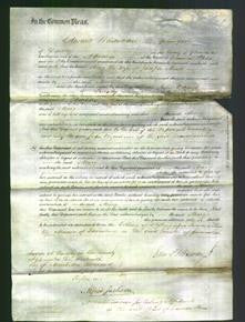 Court of Common Pleas - Mary Neale-Original Ancestry