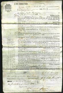 Court of Common Pleas - Susan Grubham-Original Ancestry