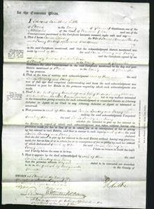 Court of Common Pleas - Louisa Loveday Stanton and Fanny Woodhouse-Original Ancestry