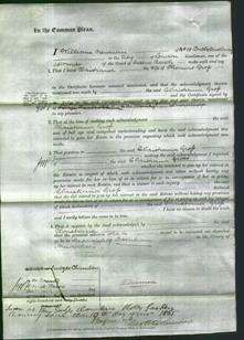 Court of Common Pleas - Christiana Gross-Original Ancestry