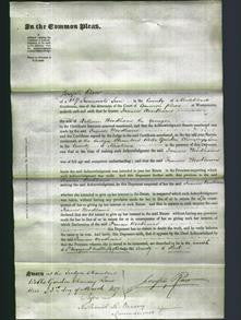 Court of Common Pleas - Frances Payne Woodhams-Original Ancestry