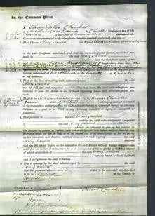 Court of Common Pleas - Maria Halsted France-Hayhurst-Original Ancestry