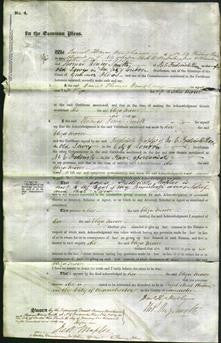 Court of Common Pleas - Eliza Moore-Original Ancestry