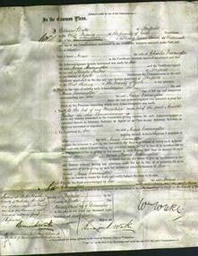 Court of Common Pleas - Anna Carrington-Original Ancestry