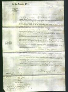 Court of Common Pleas - The Right Honorable Lady Catherine Saunderson-Original Ancestry