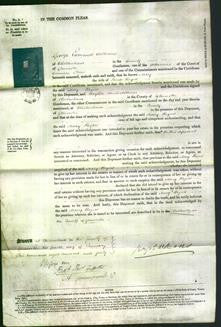 Court of Common Pleas - Mary Rogers-Original Ancestry