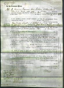 Court of Common Pleas - Ruth Farrell-Original Ancestry