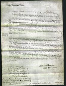 Court of Common Pleas - Mary Jane Megget-Original Ancestry