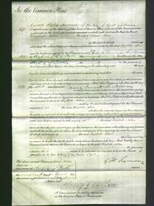 Court of Common Pleas - Elizabeth Nolton-Original Ancestry