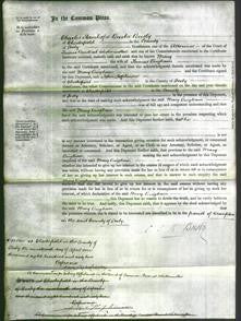 Court of Common Pleas - Mary Bingham-Original Ancestry