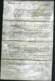 Court of Common Pleas - Susanna Hyder-Original Ancestry