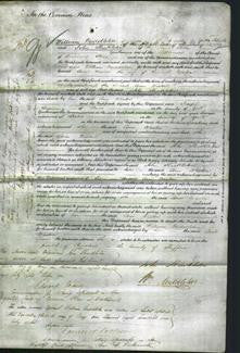 Court of Common Pleas - Ann Weston-Original Ancestry