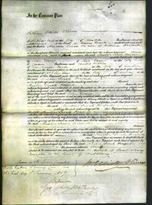 Court of Common Pleas - Amelia Sarah Hosford-Original Ancestry