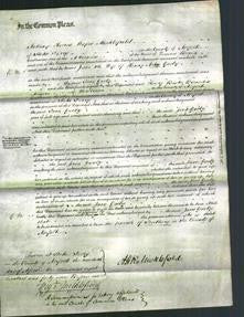 Court of Common Pleas - Jane Gooby-Original Ancestry