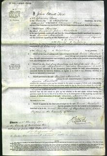 Court of Common Pleas - Louisa Marshall-Original Ancestry