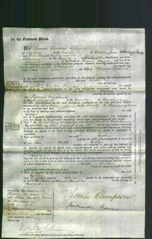 Court of Common Pleas - Esther Adams-Original Ancestry